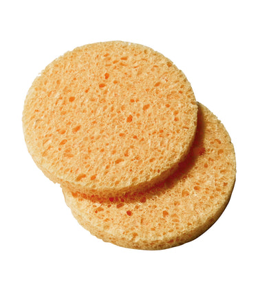 Esponjas celulosa x 2